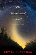 IlluminatedForest_T